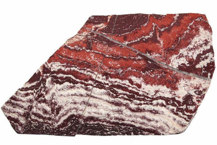Polished Snakeskin Jasper Slab - Western Australia #221501